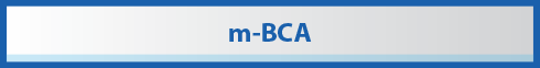 BCA Mobile (M-BCA)